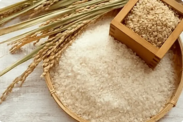 お米と麦が並べられた写真