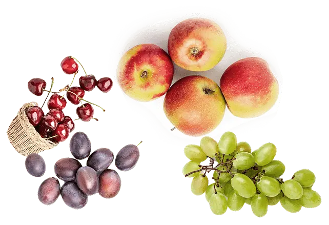 色鮮やかなぶどう・りんご・さくらんぼを並べたイメージ写真
