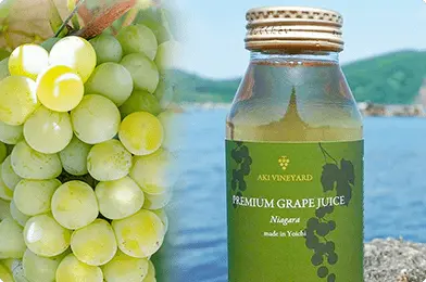 北海道余市産ナイアガラぶどうを100％使用した無添加ストレートジュース