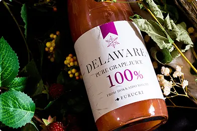 野崎農園のデラウェアを使った無添加100％ストレートぶどうジュース