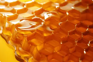 蜂の巣のアップ写真